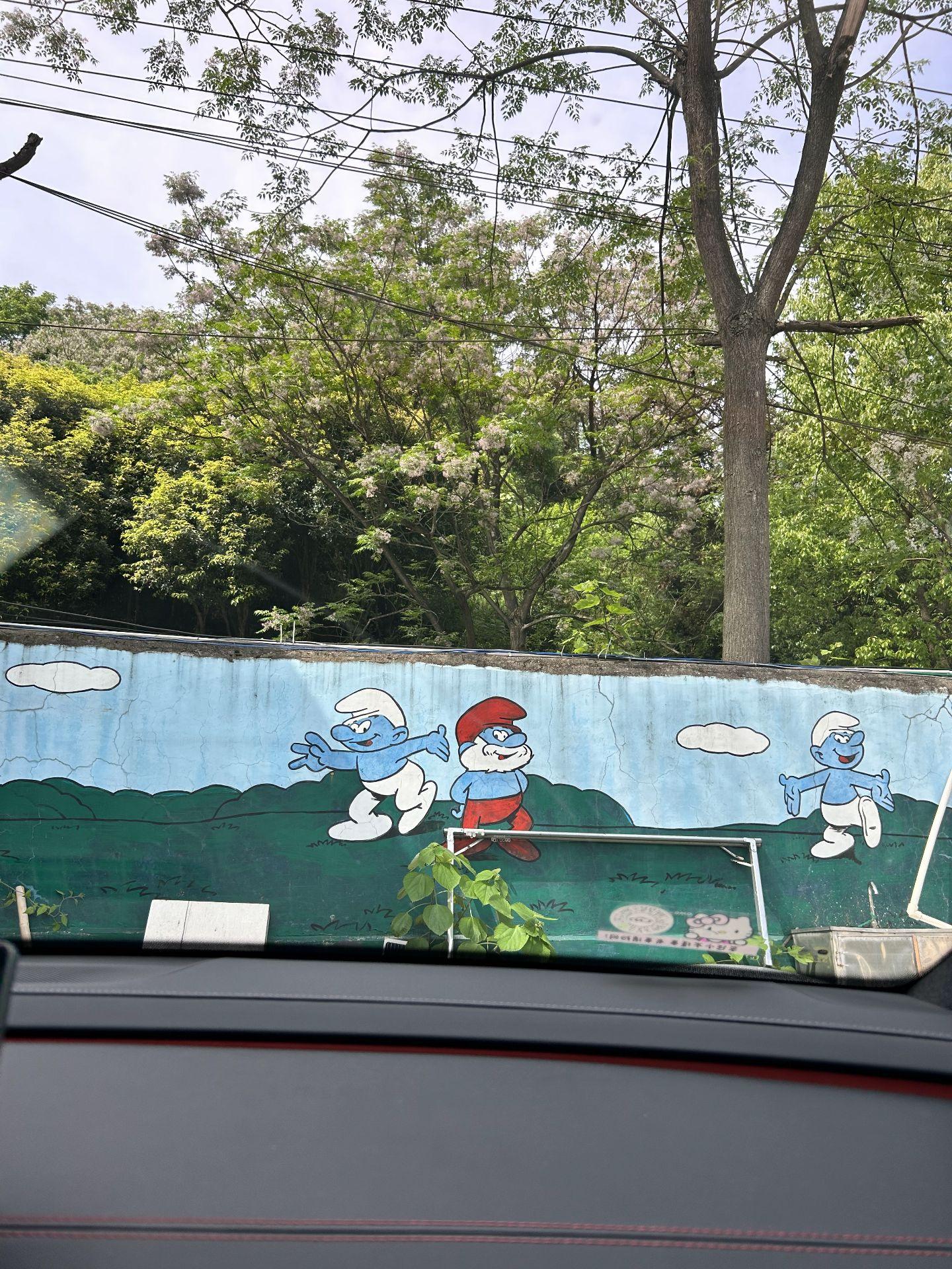 车窗上的画