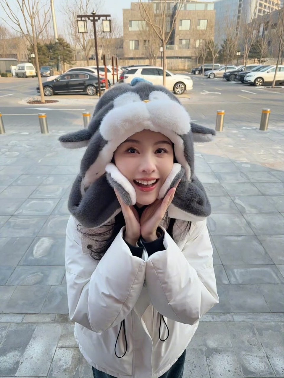 娱乐陈都灵毛绒绒look陈都灵企鹅塑 嘟嘟就这样可爱 