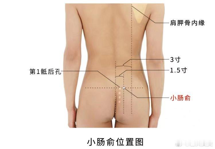 小肠俞穴 精准取穴：在骶区，横平第1骶后孔，骶正中嵴旁1.5寸。功效：清热利湿，