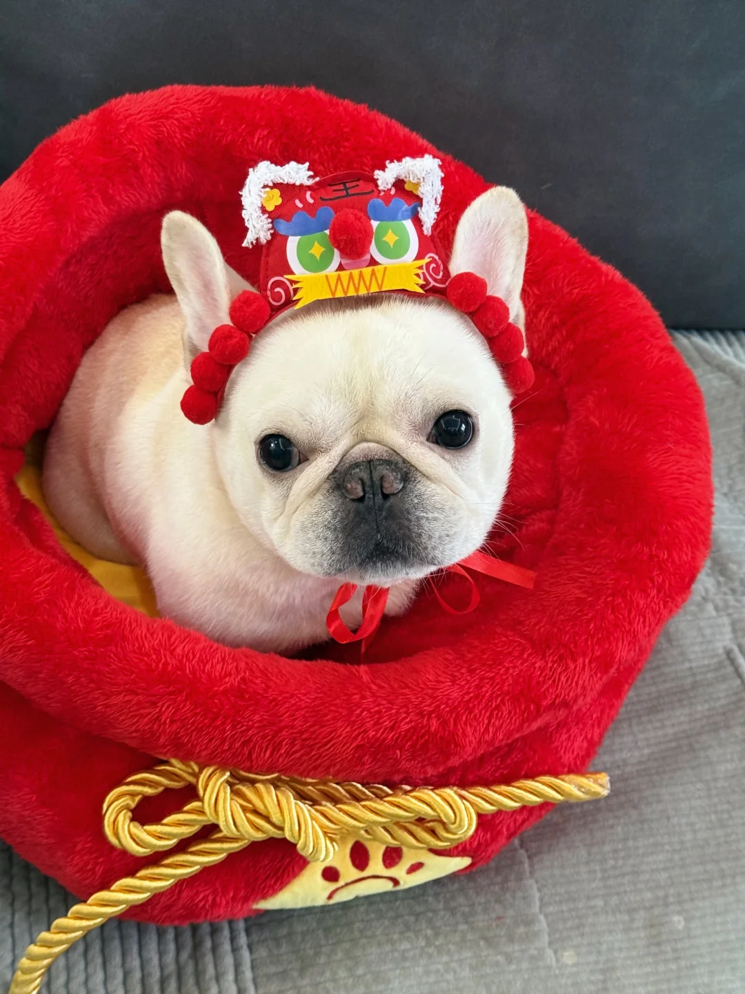 年货都准备好了吗？