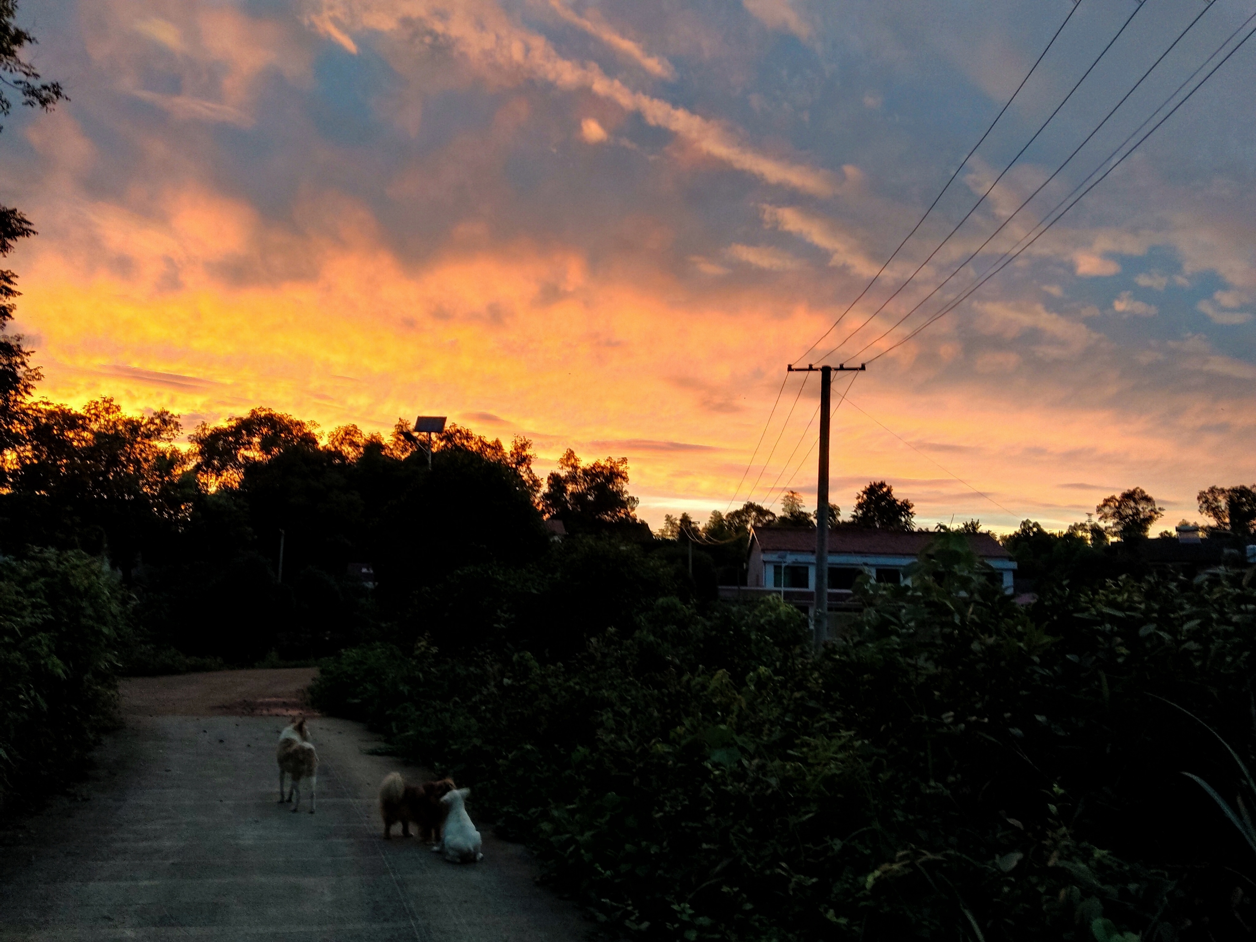 散步中好美的夕阳 