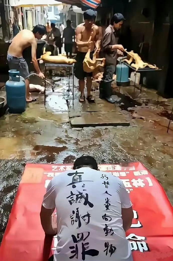 你代表“人娄”就好了，可千万别代表人类[开学季] ​​​