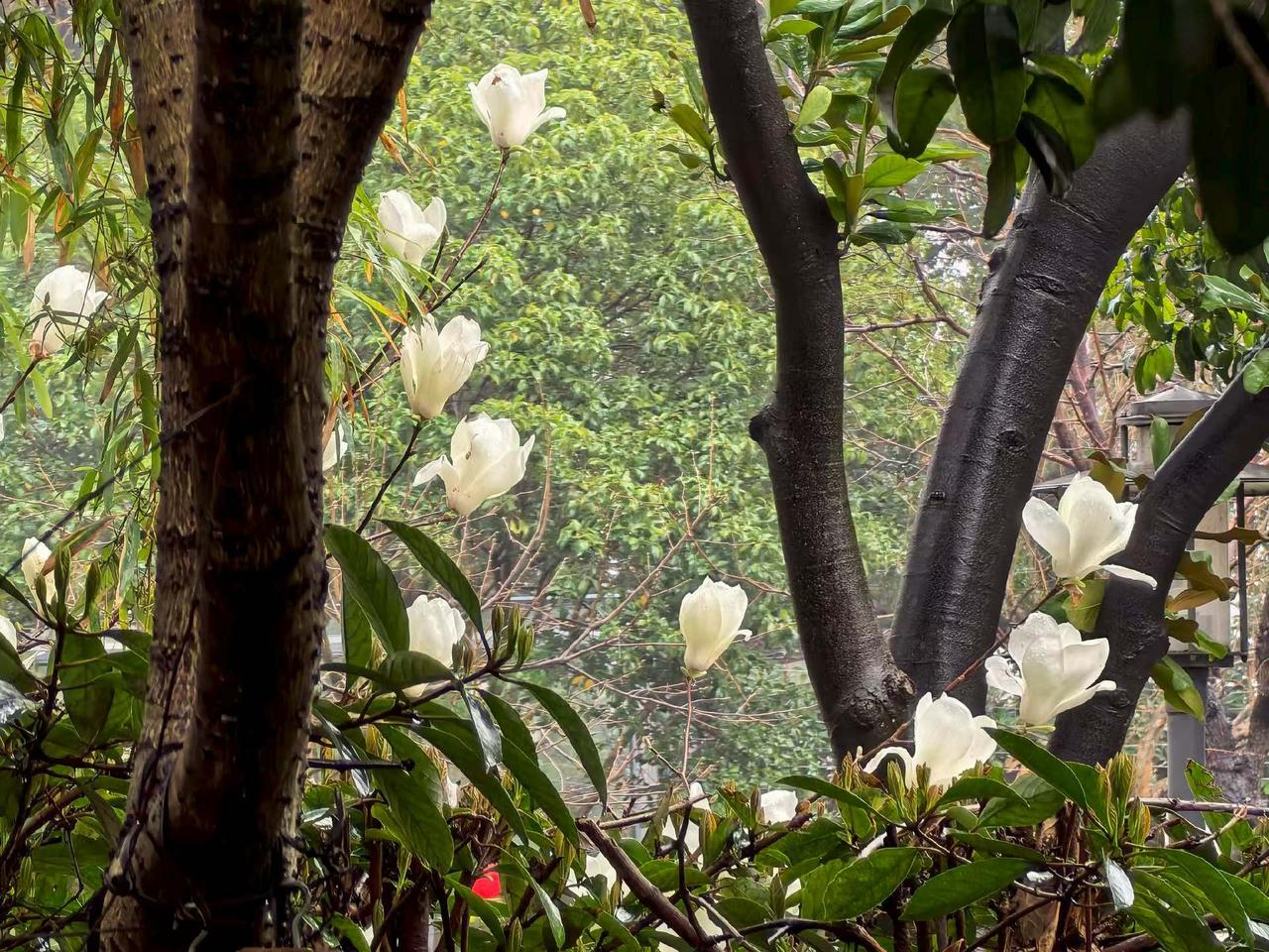 日常中常人如何见得“体相用三位一体”？

        一般人都知道，只有开悟