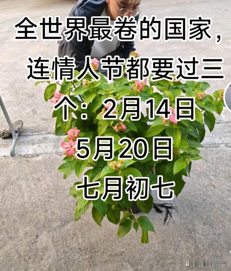 全世界最卷，情人节都有三个。
除了那些节日，还自创了秋天第一杯奶茶，立冬几件套。
