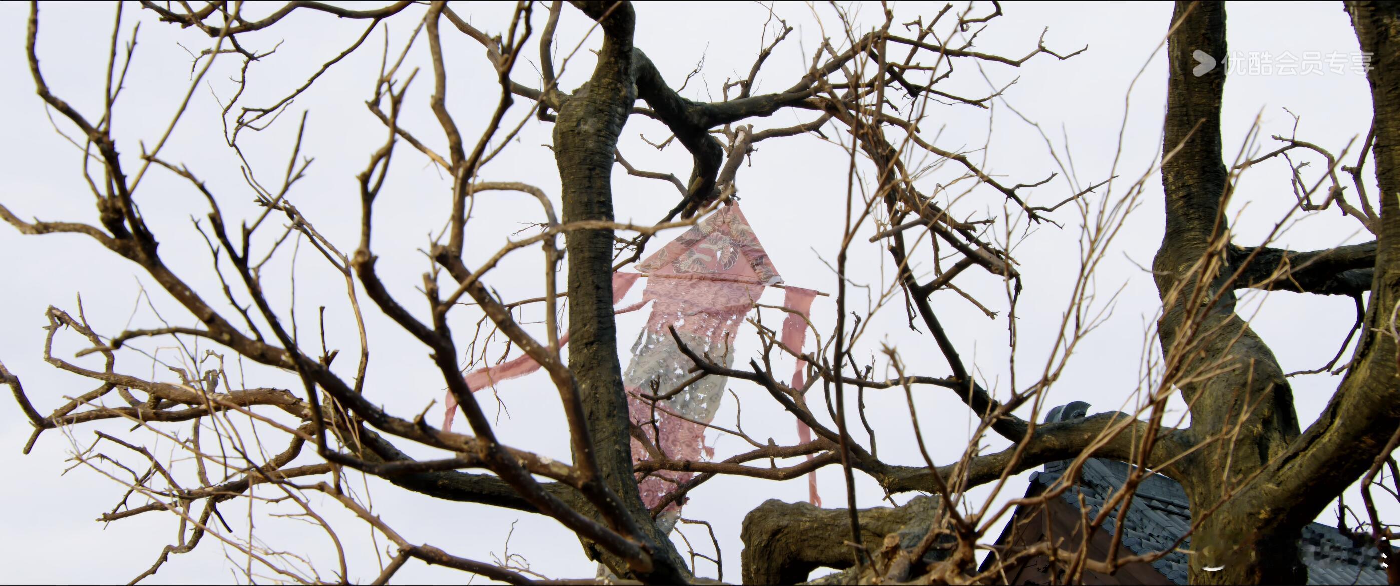 李相夷的红绸传给了谢淮安 十五年的时间，让一段红绸从耀眼变得褪色，却让里面的信念