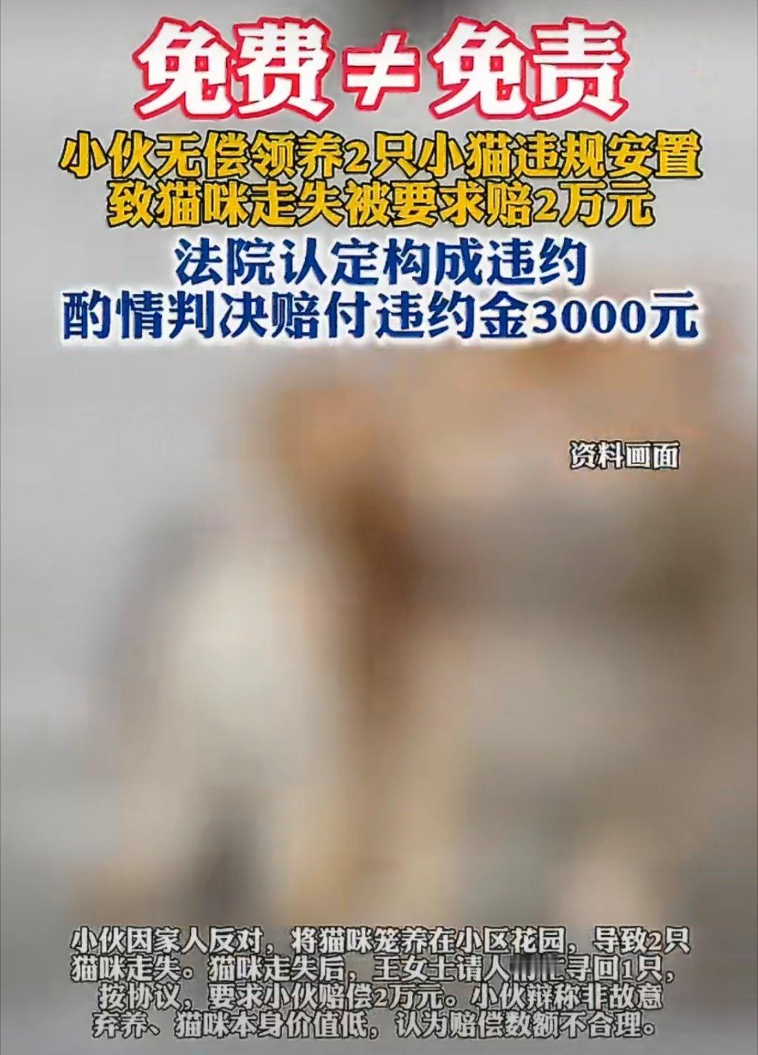 小伙弄丢了免费领养的猫被要求赔2万本来所谓的免费领养套路就非常多，很多人不愿意领