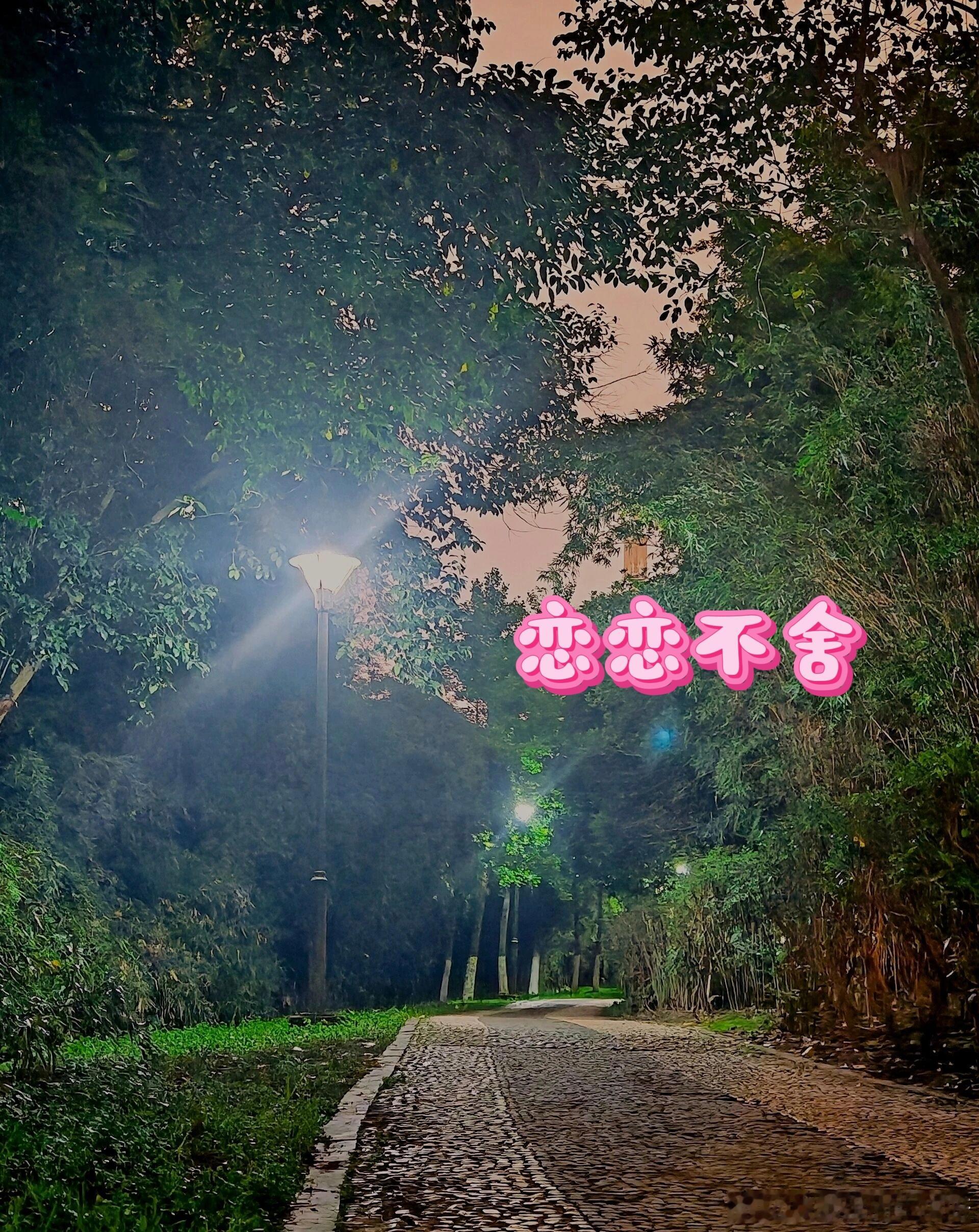 微小说大赛奇思妙想《恋恋不舍》五 忆往昔，晚风惊鸿七月底的暑气还黏在空气里，求实