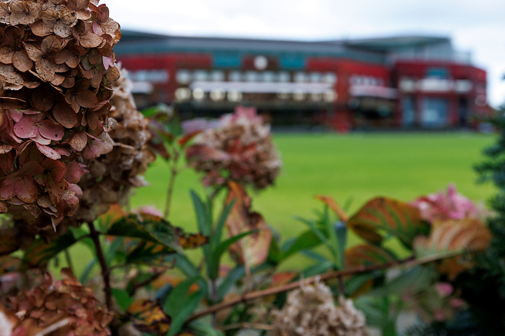 至今云弄雨犹得见秋分🍂追求卓越 ​​​​