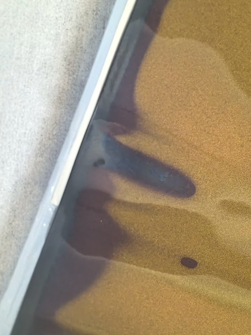 图1，图2，是弗迪刀片电池拆解实拍照片。图3，图4，是某电车电池拆解实拍照片。谁