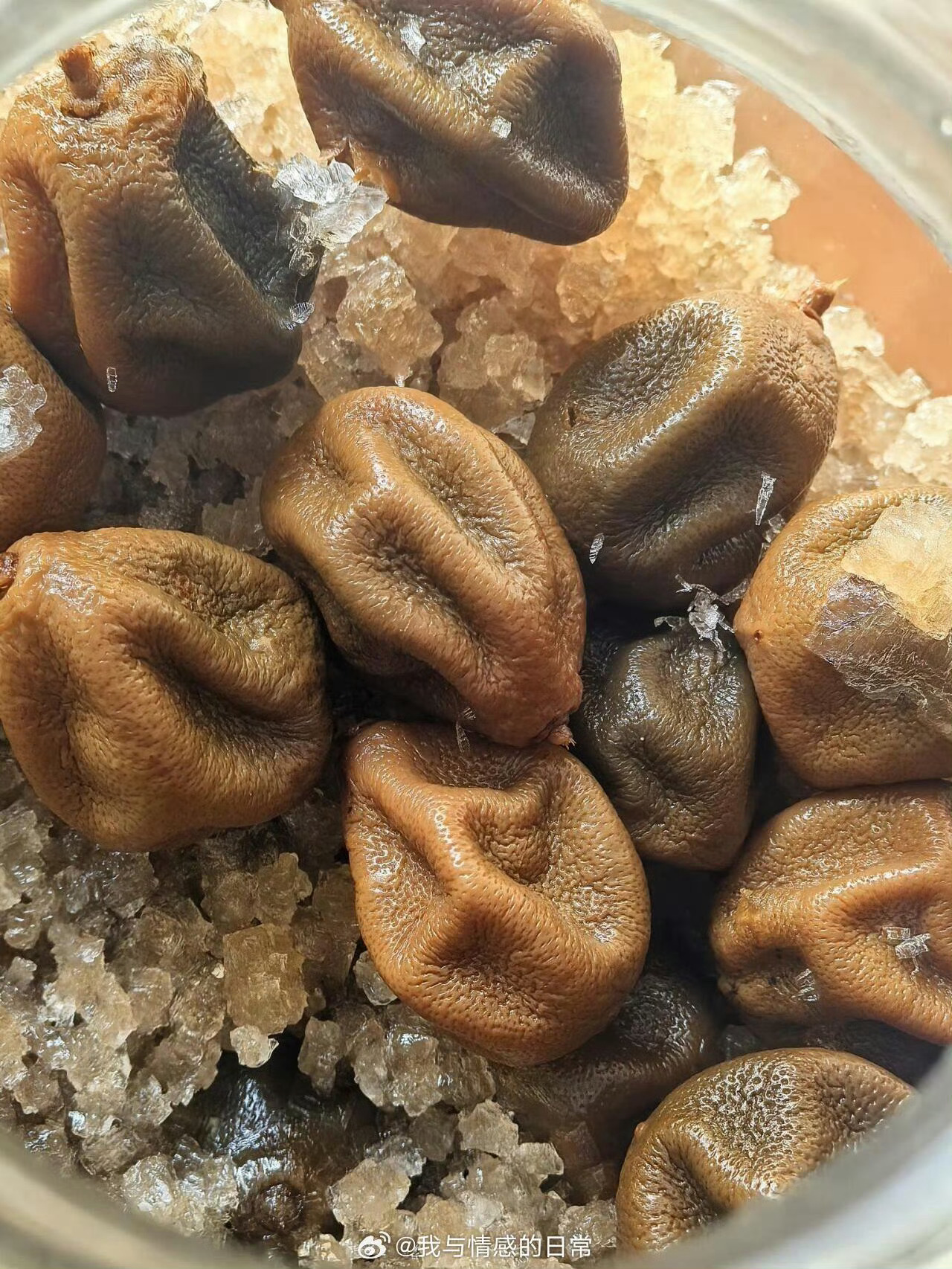 腌了六年的咸金桔没发霉应该是可以吃？