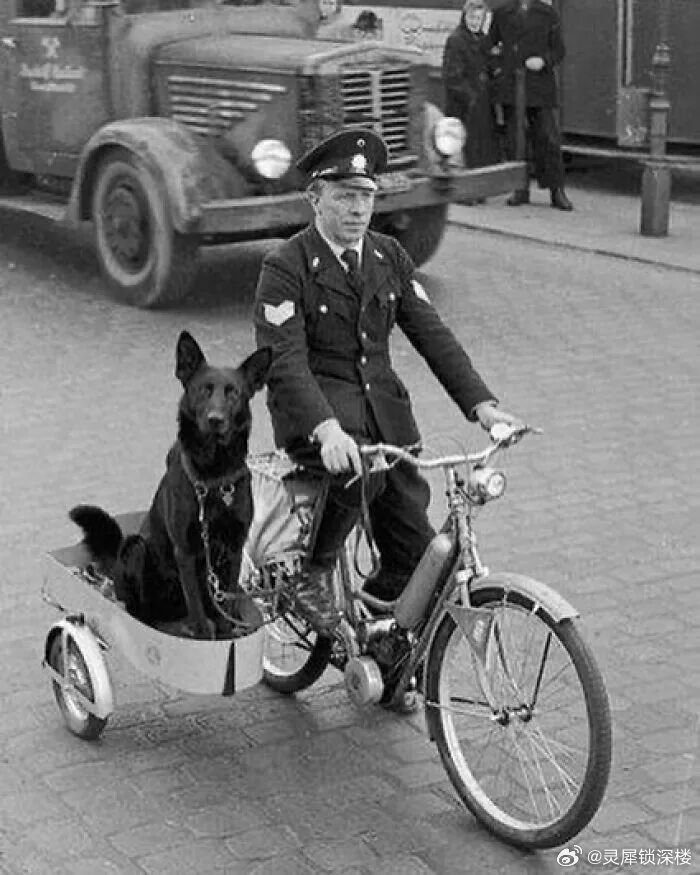 1930年代，警犬坐在三轮车的旁边执勤 