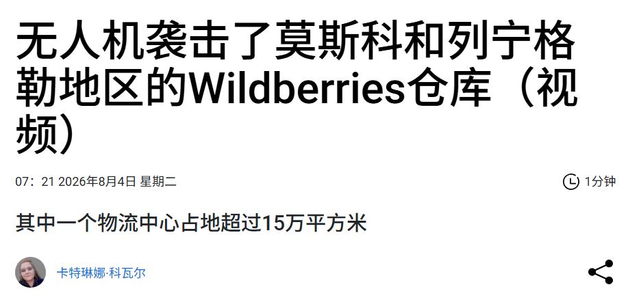 乌鸟啊！淘气包？还是愤怒的小乌鸟？又去吃野莓了！两个地方啊！