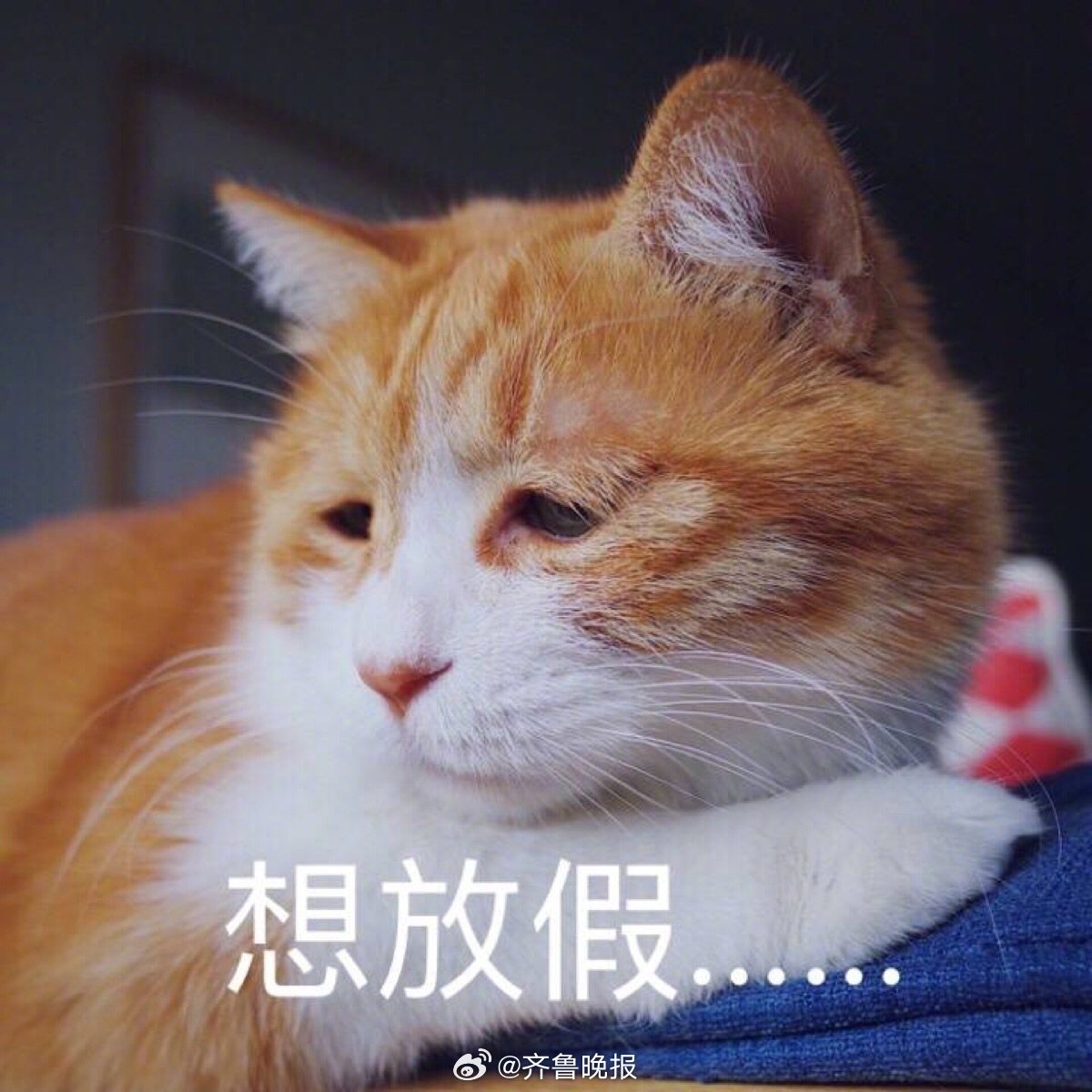 #早安# 如果用一个词总结春节假期，你会用______