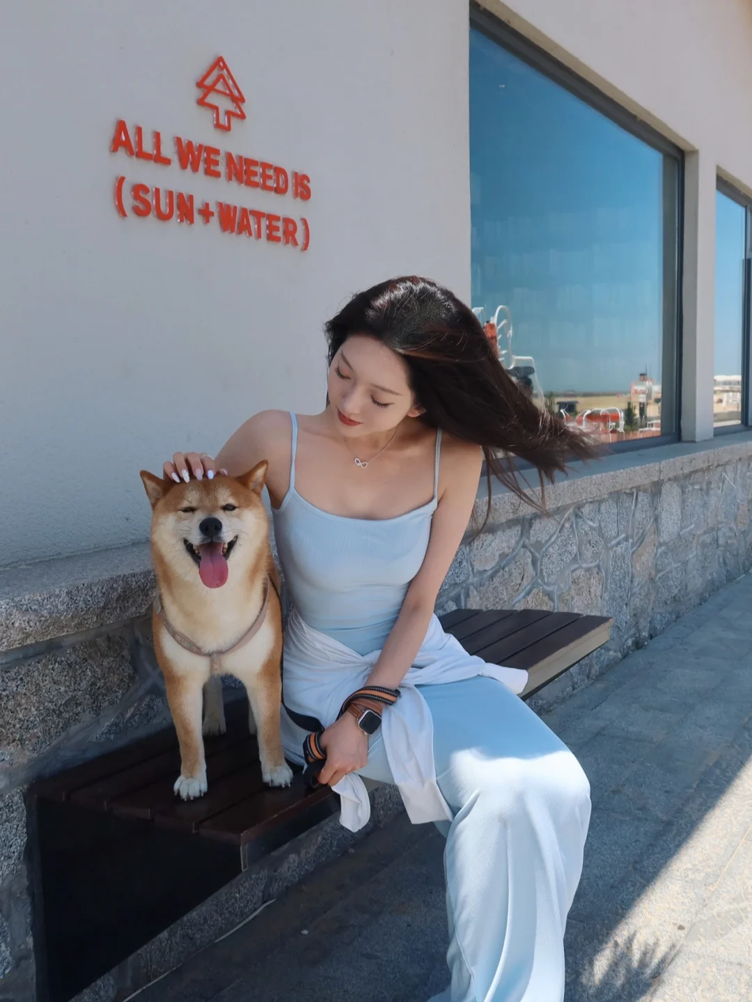 这个世界不能没有小狗🐕