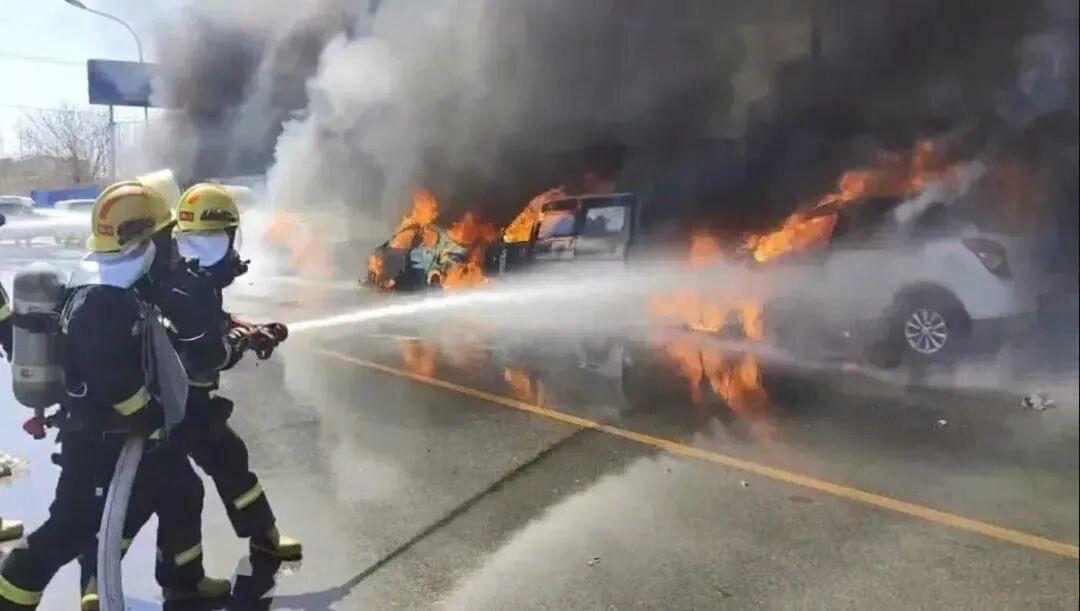 去年福建这个大聪明清明扫墓惹了大祸！放鞭炮烧山，被判1年6个月罚50万

202