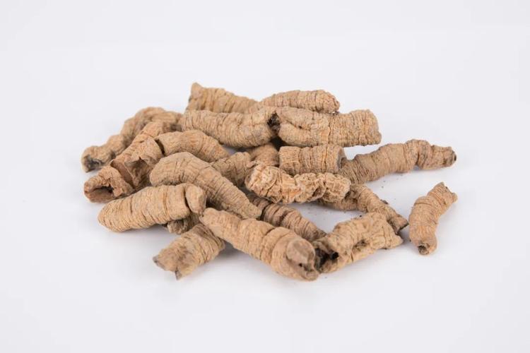 牙齿松动+牙龈萎缩，听了患者的真实经历后，我不禁感慨：行医，只有自己活在坦荡的光