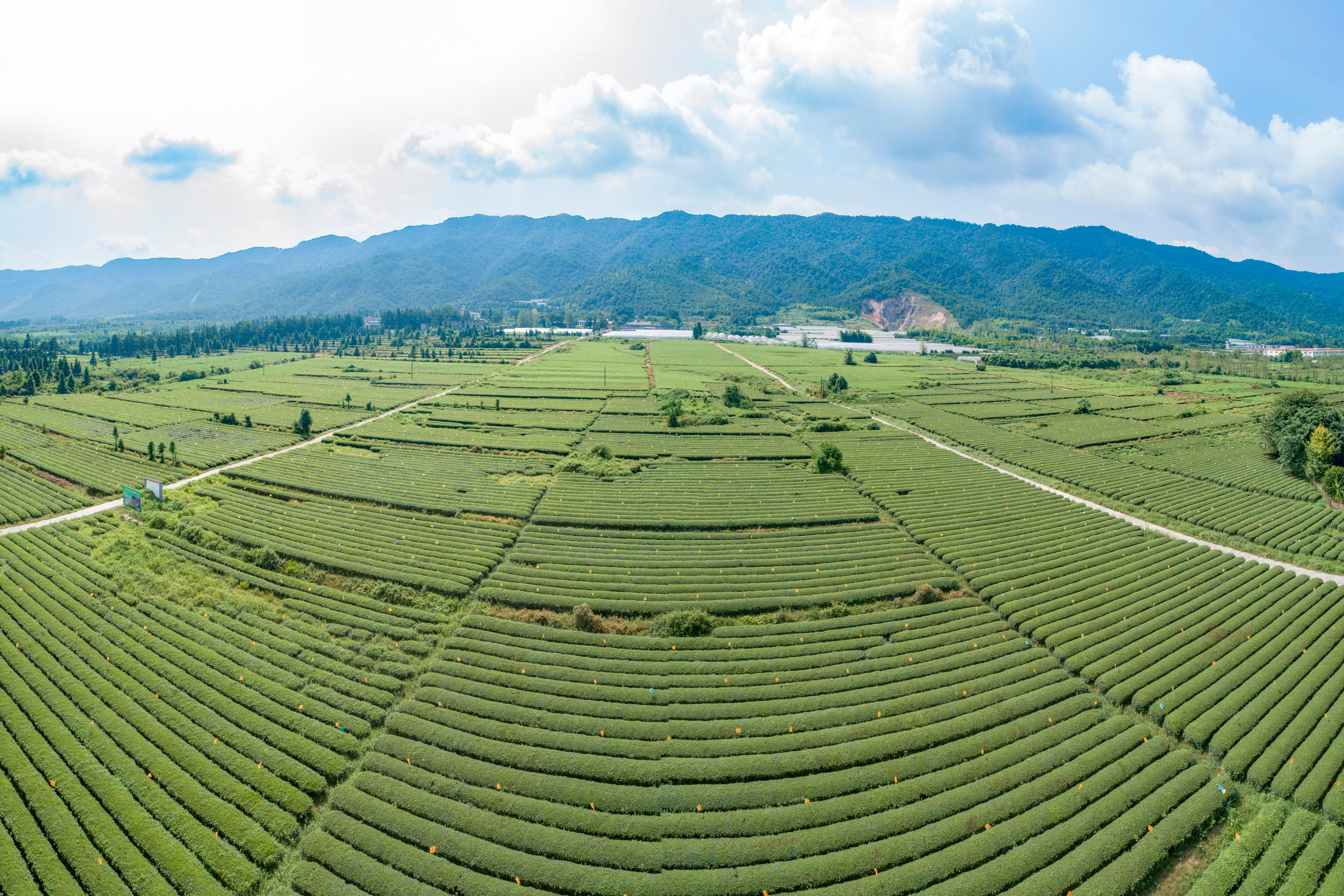 新春第一游 一起来清流马年启新程，春光入清流，新春第一游，赴一场山水与年味的美好