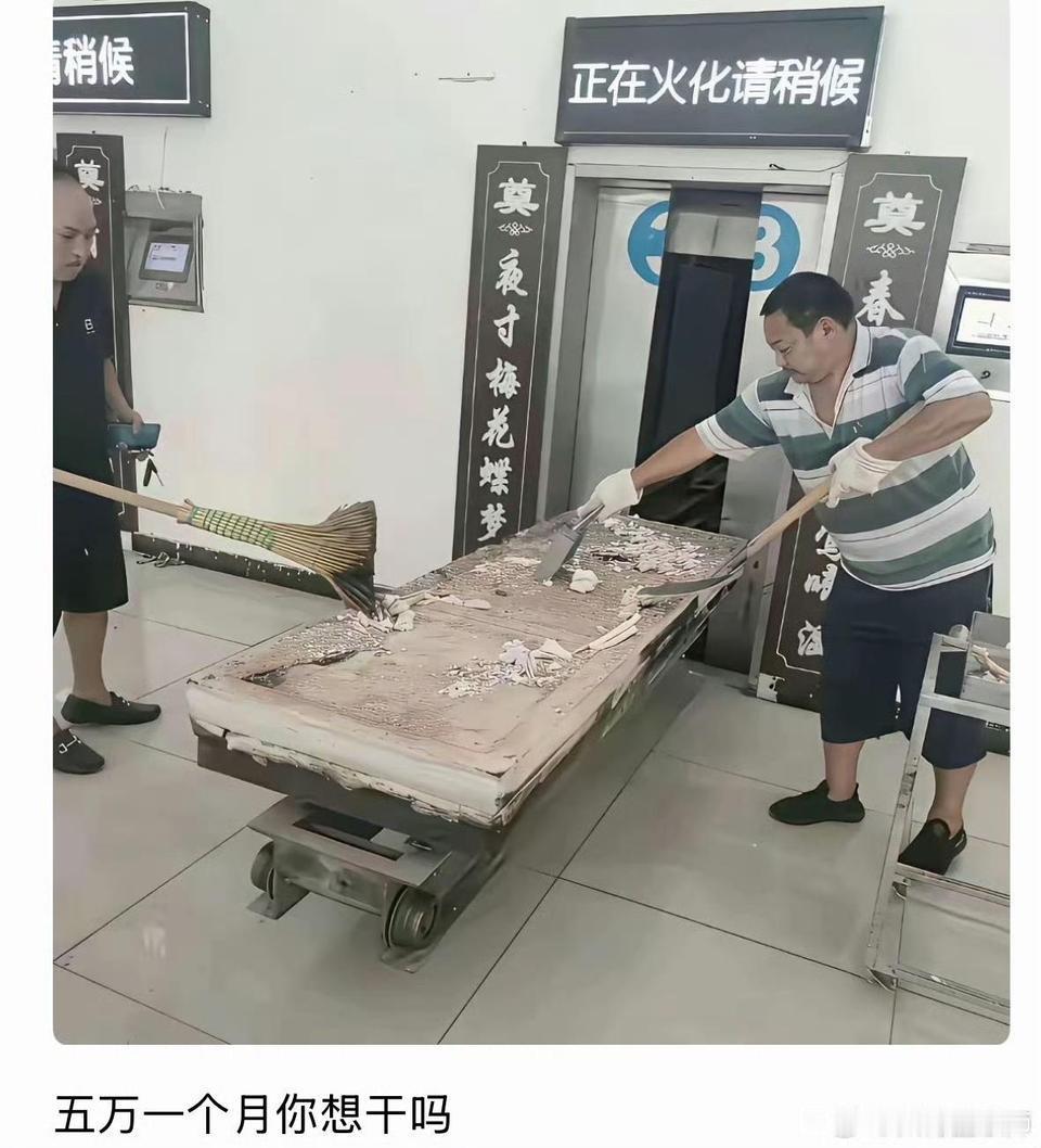 都说找不到工作，给你五万这个岗位你愿不愿意做