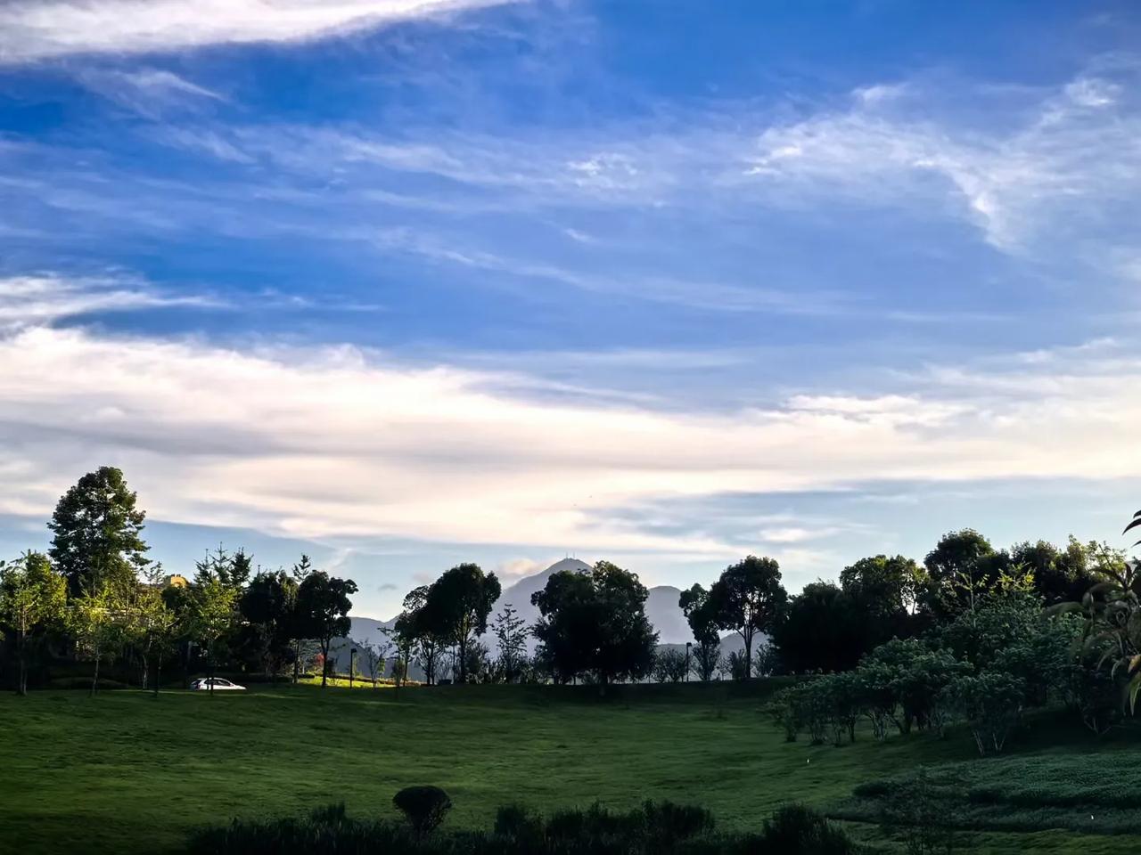 今天的大盘是继续震荡还是反身向上，都有可能，从人民币汇率的反弹，应该可以刺激外资