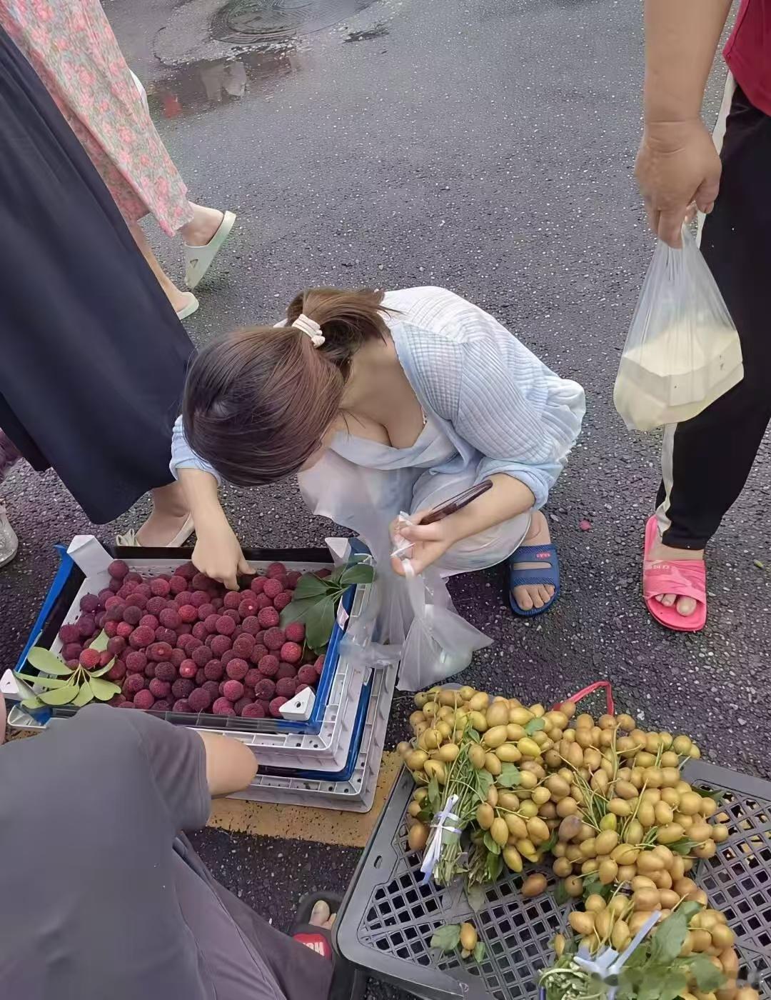 岭南佳果的成熟顺序是 杨梅、荔枝、黄皮、龙眼、山蔹、人心果 