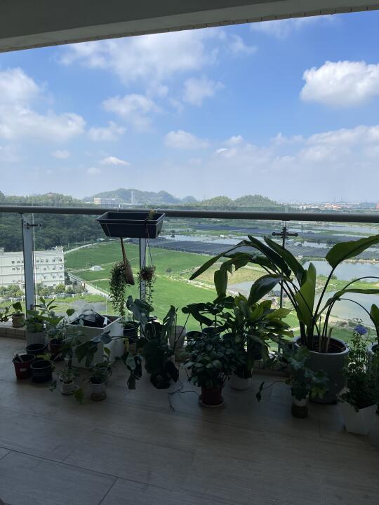因为这个窗景爱上这个房子🏠
