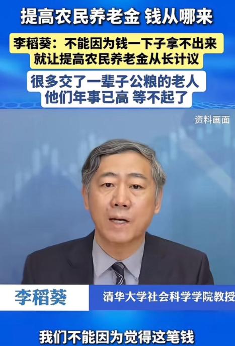 这才是真专家！李稻葵为农村老人发声，不能因为钱一下子拿不出来，就让提高农民养老金