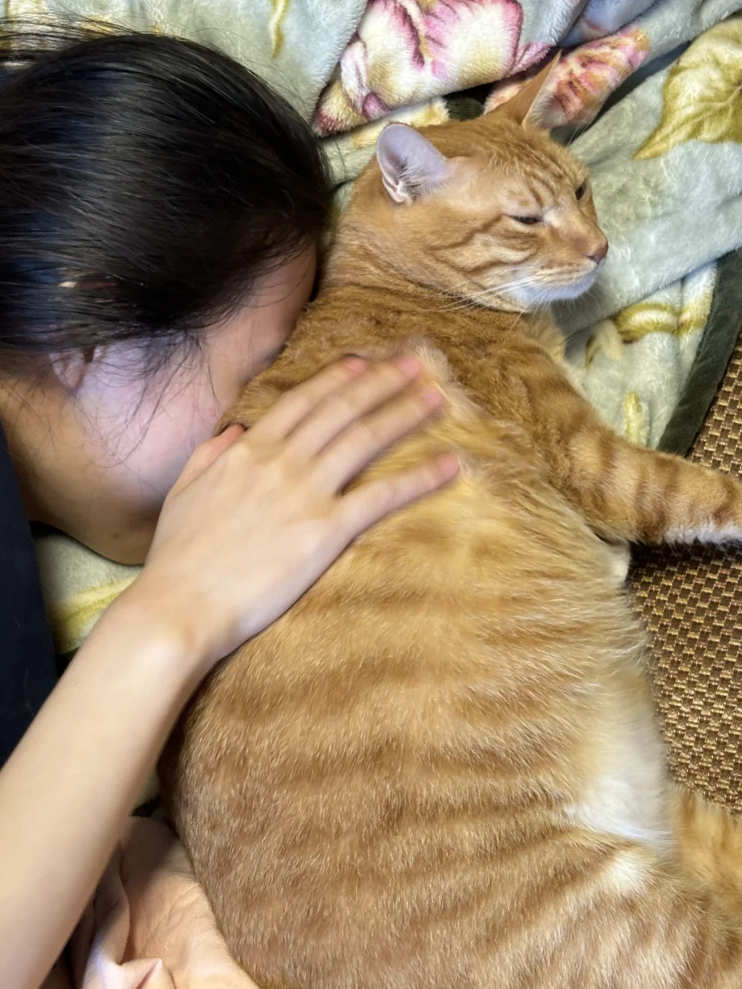 朋友竟然这样对我的猫……