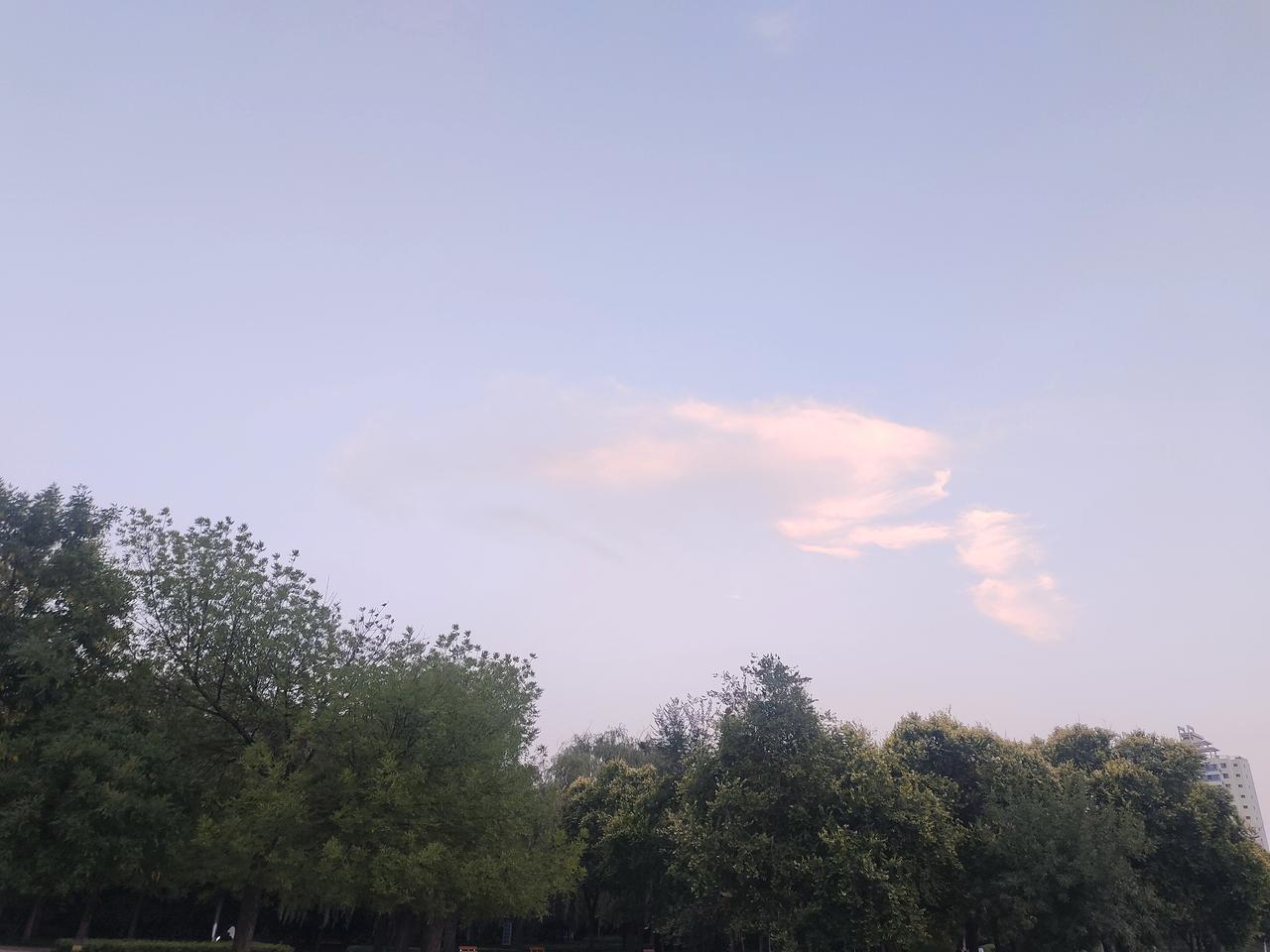 分享一张相册里随手拍的夏日天空