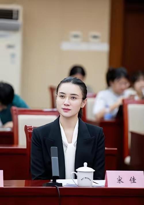 这宋佳去当委员，画风跟张译那是真不一样！你看她那一身黑西装，头发整整齐齐盘在脑后