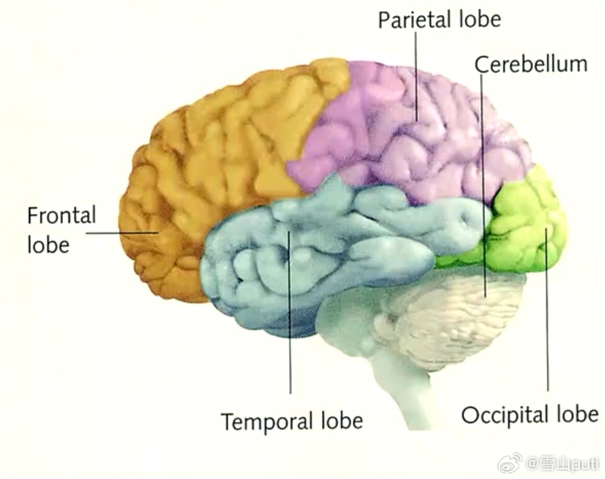市场永远是对的，错的是自己。赚钱是因为市场强，亏钱是因为自己逞强。 