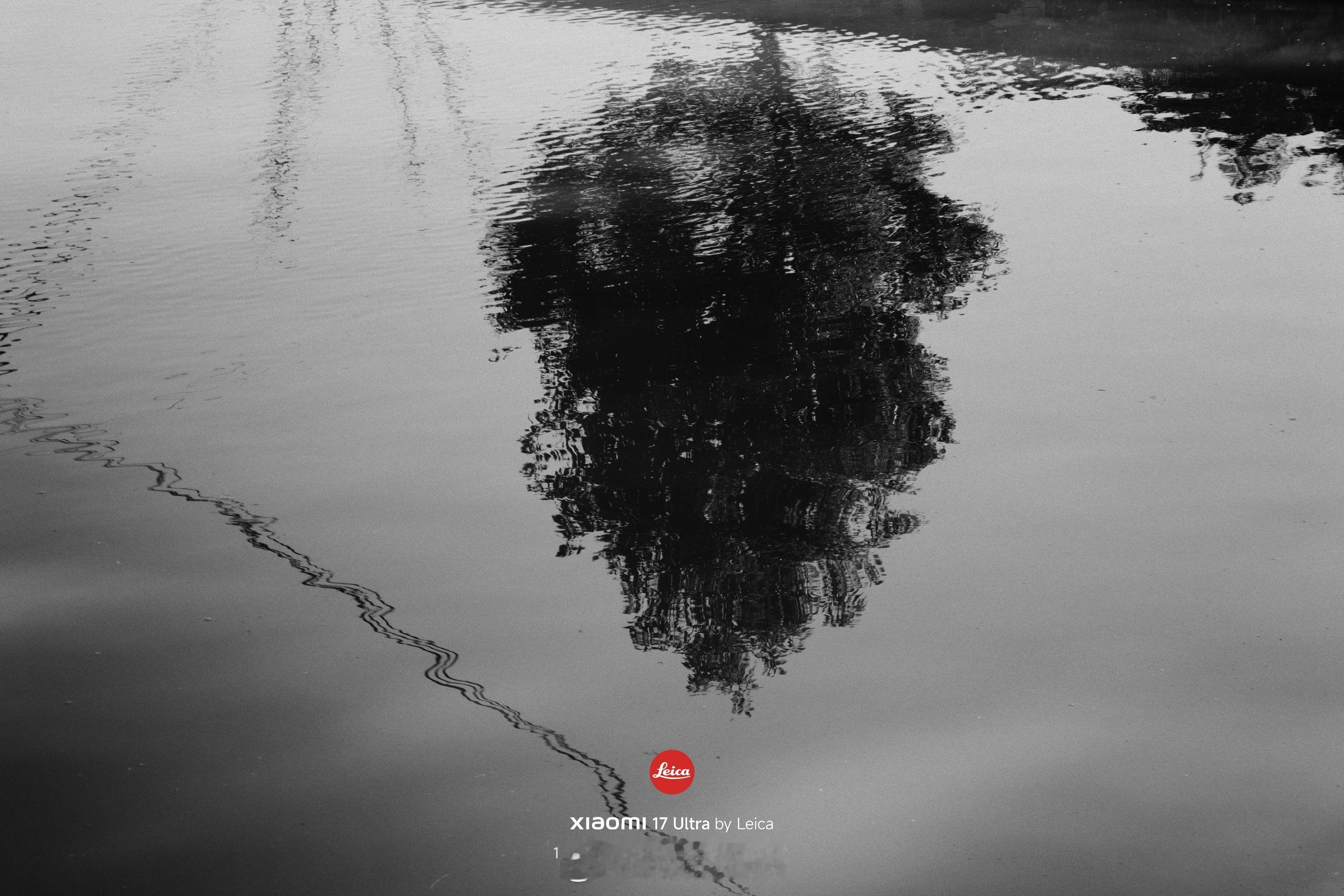 早☀️每日早起打卡