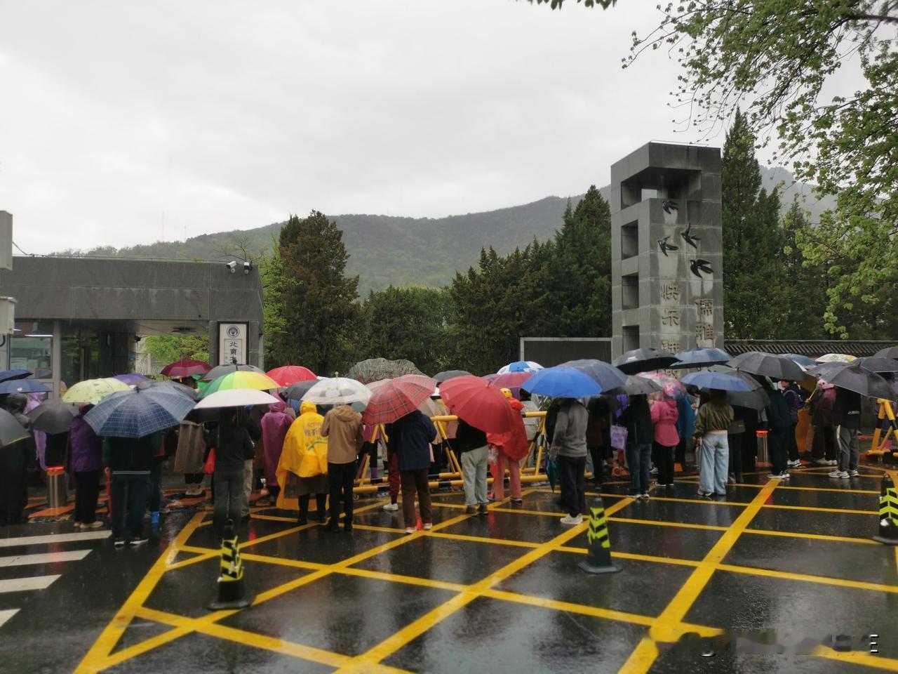 雨中的守候

大雨如注，校门口却开出了一片伞的花海。

层层叠叠的雨伞挤在一起，