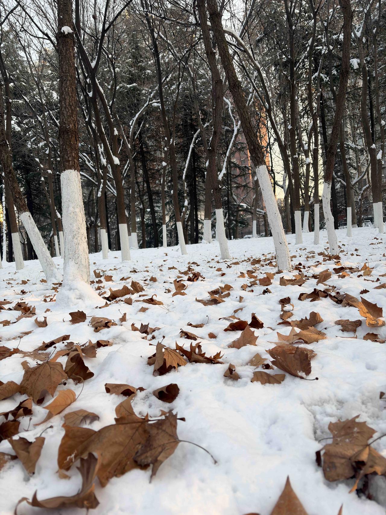 苹果17基础款确实香！
不要相信网上说的那些缺点！
续航使用一天完全没有压力！