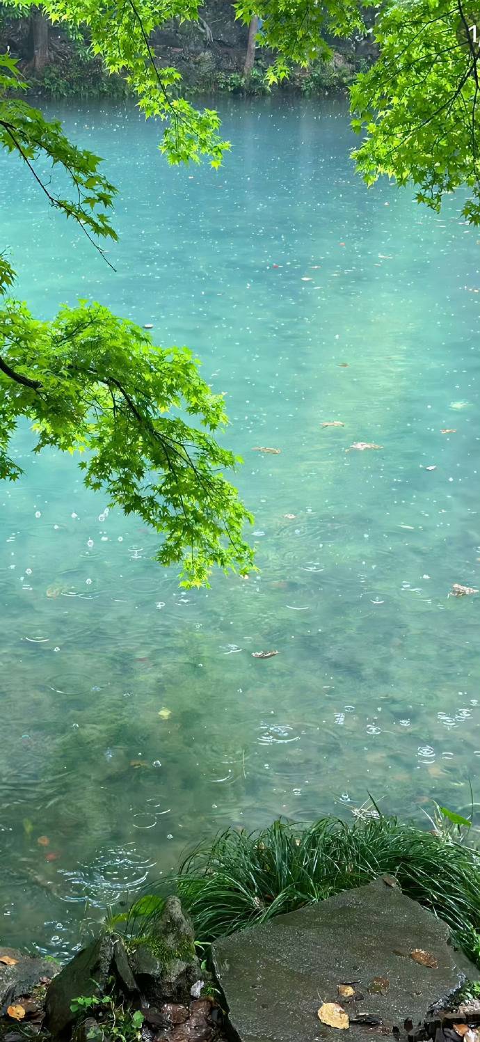 都说安全感只有自己才能给自己，但这里面应该包括有三层意思：第一是自己可以养活自己