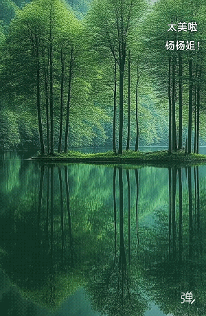 以最大的平静，去爱我们不确定的生活”！[玫瑰][祈祷]