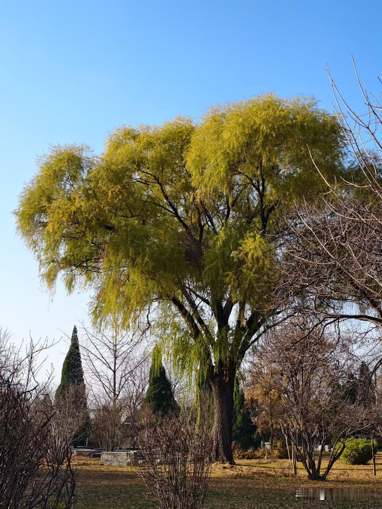 周三武汉地铁客流量上升至391万人次多[呲牙][呲牙][呲牙] 爆料 身边事 地