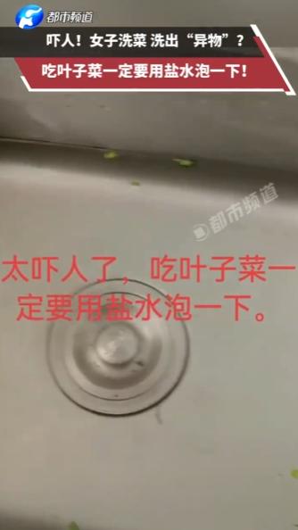 “太吓人了！”重庆，一女子在家清洗空心菜时，将菜叶捞出后竟发现水池底部躺着一条细