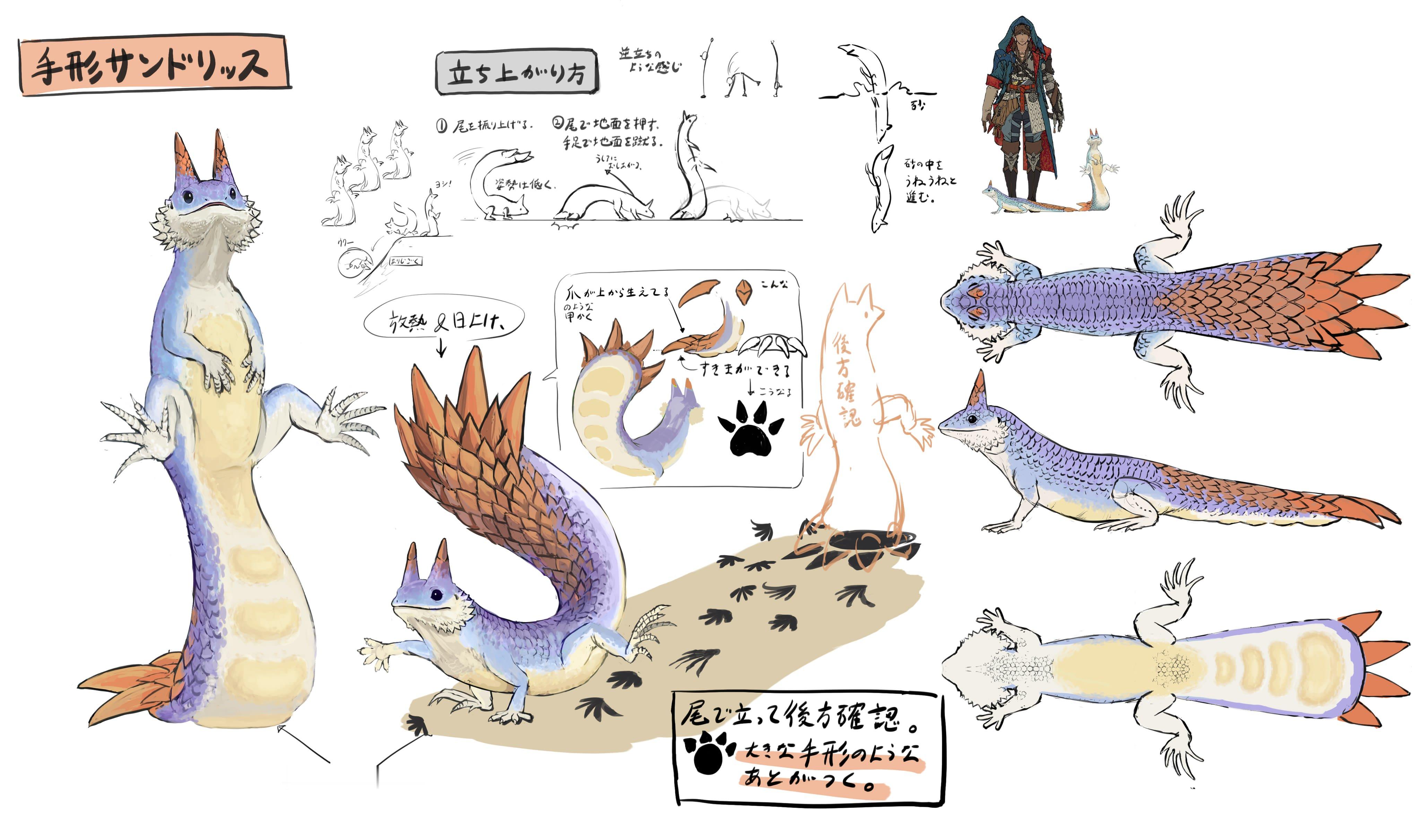 《怪物猎人荒野》环境生物「足迹蜥蜴」开发设计图公开。 