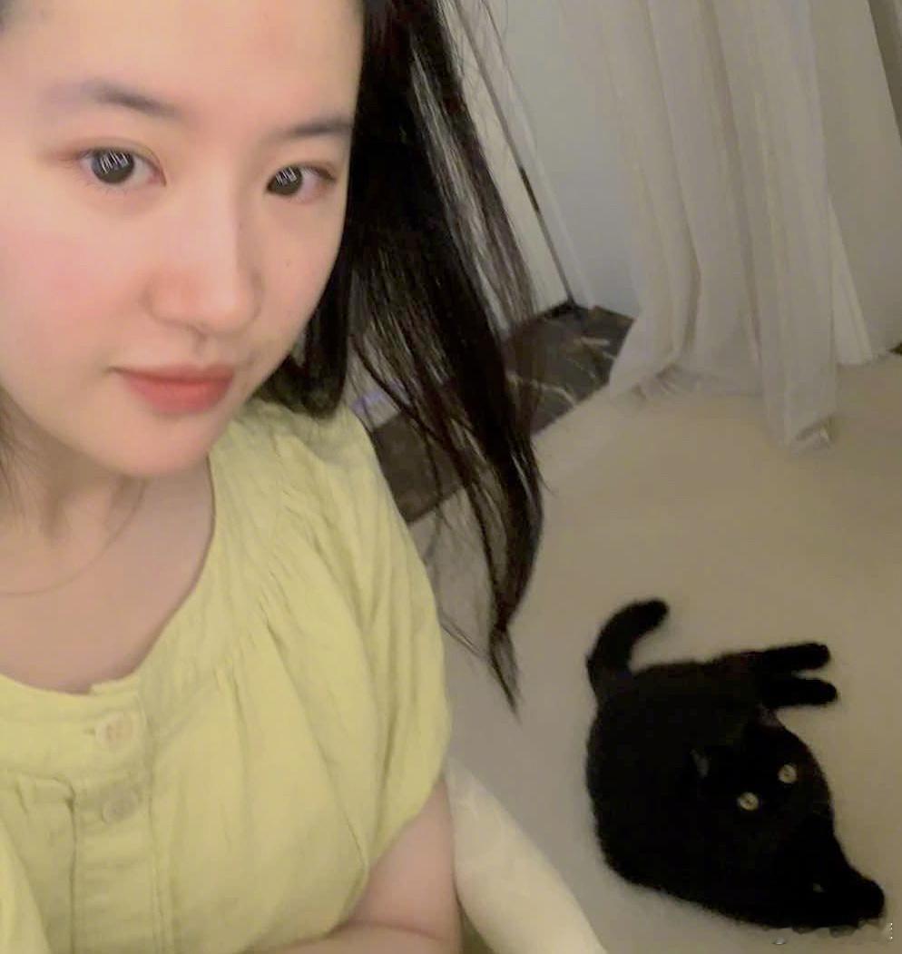 刘亦菲的猫咪宠妃头牌☝️高冷的黑煤球刘东东[阴险] ​​​