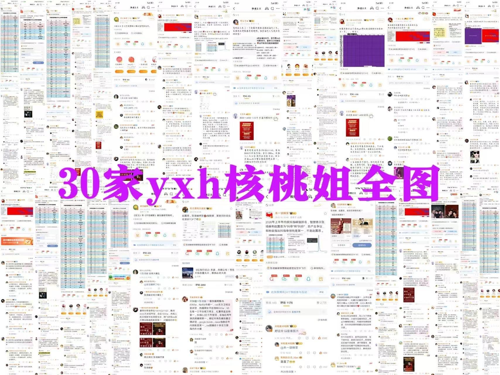 张凌赫粉丝和赵露思粉丝交流总结，是这样的吗
