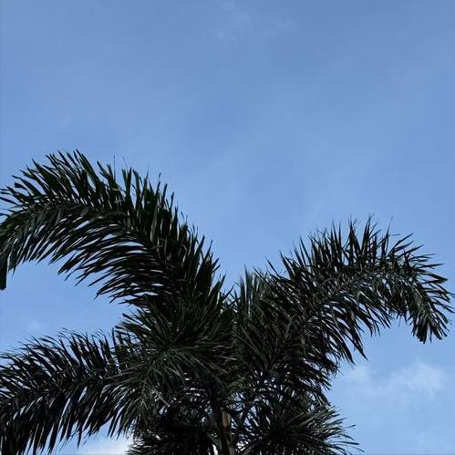 美政府“停摆”秀闹剧接近尾声   美民主、共和两党赢了   美民众遭殃
 
美政