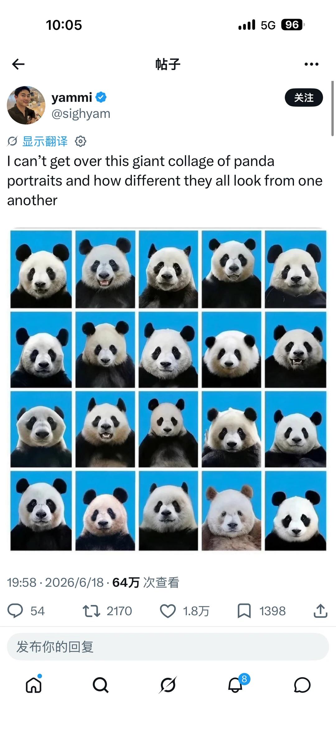 刷ins，看到这张熊猫大头拼图，外国博主都在惊叹：居然没有两只是长得一样的！
根