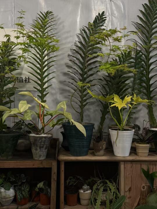 常来我店里看看