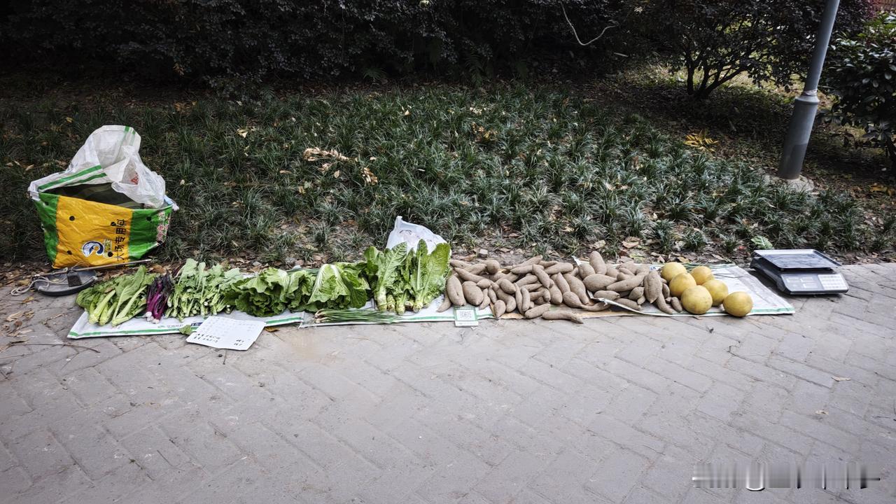 现在街边卖菜都是24小时无人值守吗？
早上散步路过一小区门口，路边摆着几种蔬菜，