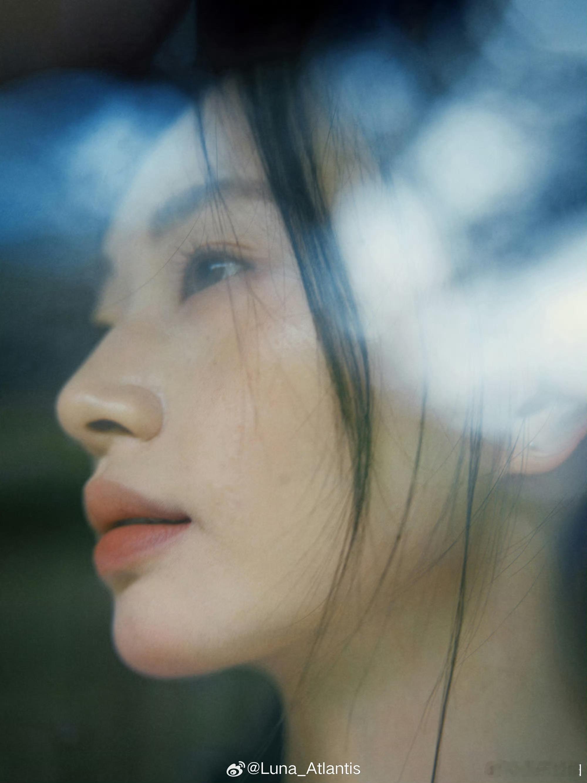 枝叶 摄影：
