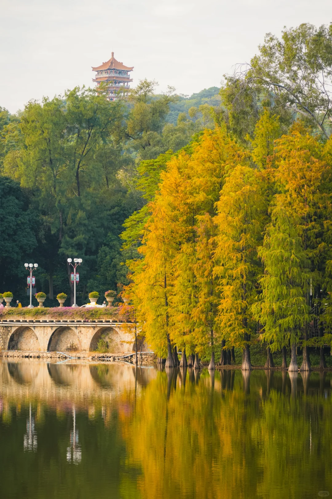 红了❗红了❗预计月底即将封神🍂