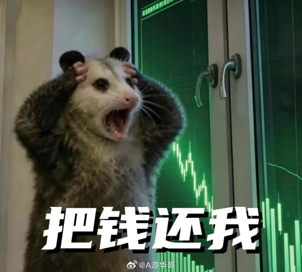 一面是医药股爆涨，一面是硬科技暴跌，跷跷板效应明显一方面源于存量博弈，另一方面量