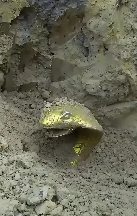 挖山药时意外刨出个金属物件，刚露出头时吓我一跳！沉甸甸的也不知道到底是个啥东西？