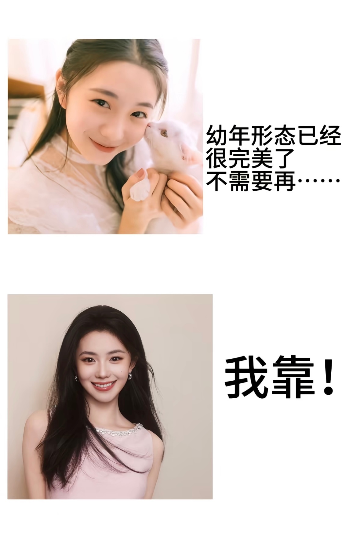幼年形态已经很完美了 不需要再…..看了一圈果然刘浩存是最符合的（🫘：Xl. 