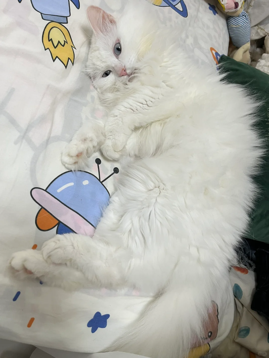 刚睡醒啵啵子